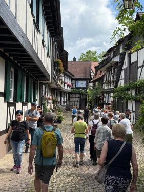 Zwarte Woud met Houtheimstappers: juni 2026