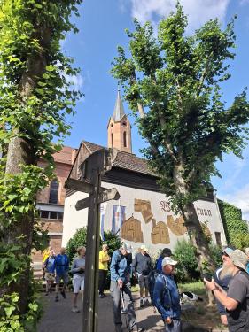 Wandelvakantie Spessartwald en Mainland: juli 2026