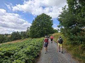 Wandelvakantie Spessartwald en Mainland: juli 2026