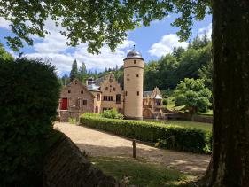 Wandelvakantie Spessartwald en Mainland: juli 2026