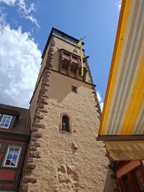 Wandelvakantie Spessartwald en Mainland: juli 2026