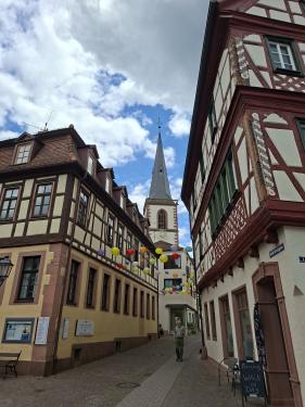 Wandelvakantie Spessartwald en Mainland: juli 2026