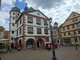 Wandelvakantie Spessartwald en Mainland: juli 2026