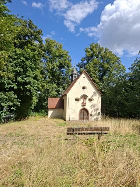 Wandelvakantie Spessartwald en Mainland: juli 2026