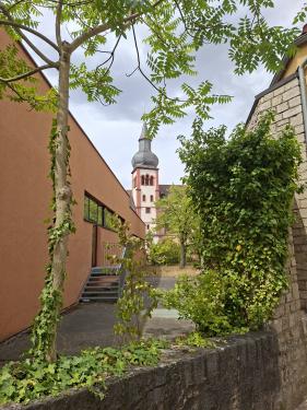 Wandelvakantie Spessartwald en Mainland: juli 2026