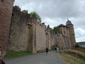Wandelvakantie Spessartwald en Mainland: juli 2026