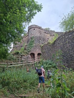 Wandelvakantie Spessartwald en Mainland: juli 2026