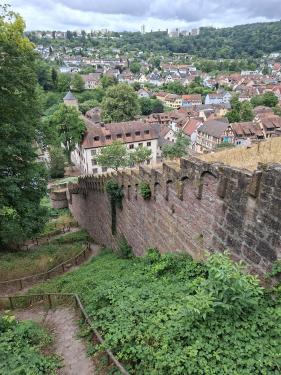 Wandelvakantie Spessartwald en Mainland: juli 2026