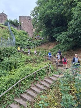Wandelvakantie Spessartwald en Mainland: juli 2026