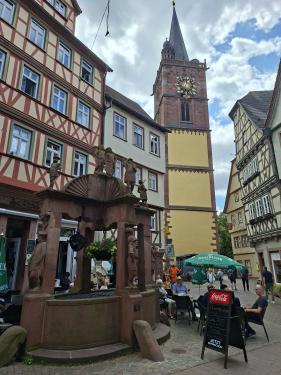 Wandelvakantie Spessartwald en Mainland: juli 2026