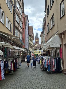 Wandelvakantie Spessartwald en Mainland: juli 2026