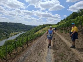 Wandelvakantie Spessartwald en Mainland: juli 2026