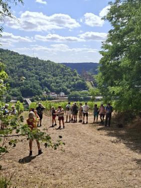 Wandelvakantie Spessartwald en Mainland: juli 2026