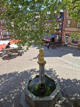 Wandelvakantie Spessartwald en Mainland: juli 2026