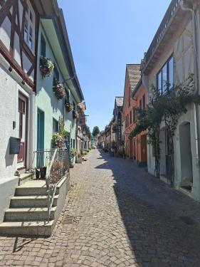 Wandelvakantie Spessartwald en Mainland: juli 2026