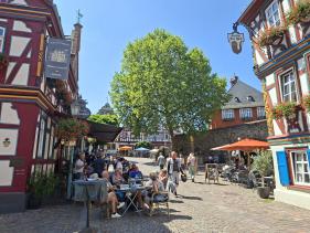 Wandelvakantie Spessartwald en Mainland: juli 2026