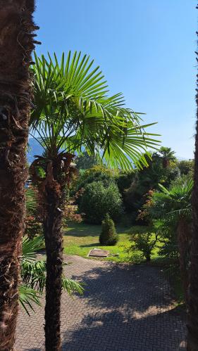 Lago Maggiore: juli 2026