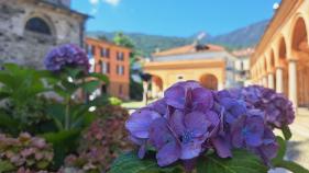 Lago Maggiore: juli 2026