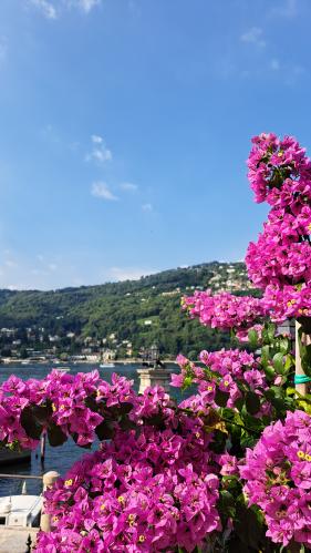 Lago Maggiore: juli 2026