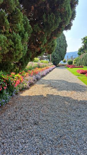 Lago Maggiore: juli 2026