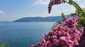 Lago Maggiore: juli 2026