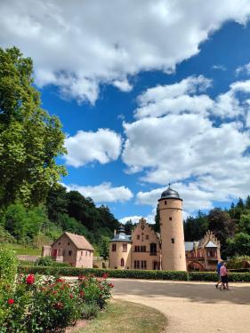 Wandelvakantie Spessartwald en Mainland: juli 2026