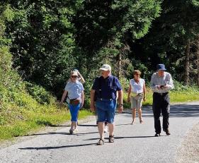 Tirol Wildschönau: juli 2026