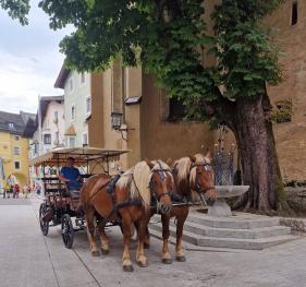 Tirol Wildschönau: juli 2026