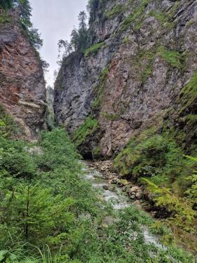 Tirol Wildschönau: juli 2026