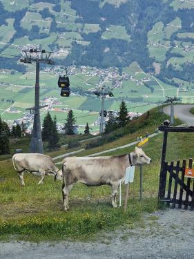 Zillertal Tirol: juli 2026