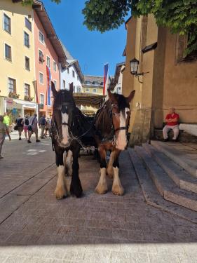 Zillertal Tirol: juli 2026
