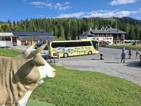 Salzburgerland augustus 2026