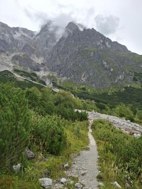 Salzburgerland augustus 2026