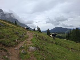 Salzburgerland augustus 2026