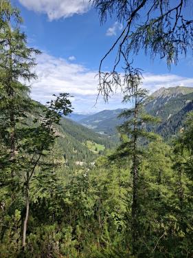 Salzburgerland augustus 2026