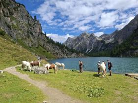 Salzburgerland augustus 2026