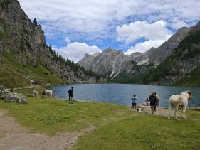 Salzburgerland augustus 2026