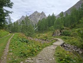 Salzburgerland augustus 2026