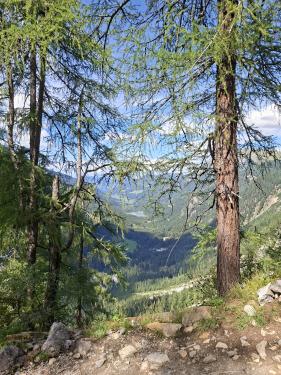 Salzburgerland augustus 2026
