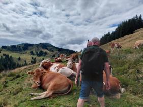 Salzburgerland augustus 2026