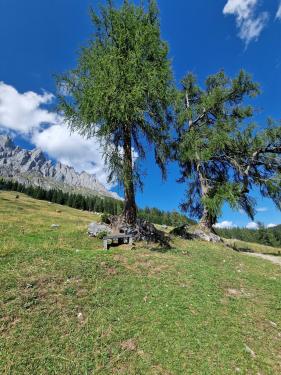 Salzburgerland augustus 2026